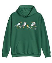 Parks Projecta x Audubon Green Hoodie